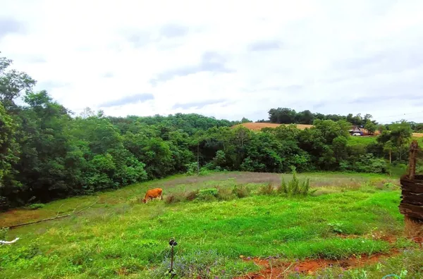 Chácara para venda,  Linha Maraney, Panambi