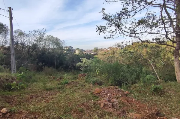 Terreno para venda,  Erica, Panambi