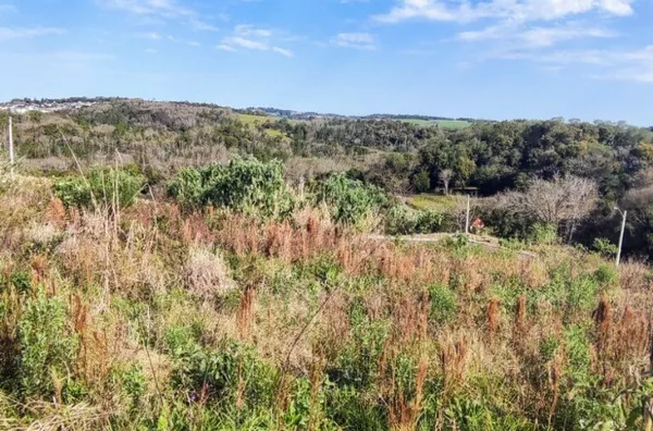 Terreno para comprar,  Italiana, Panambi