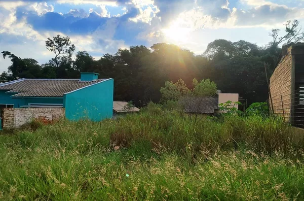 Terreno para ,  Trentini, Panambi