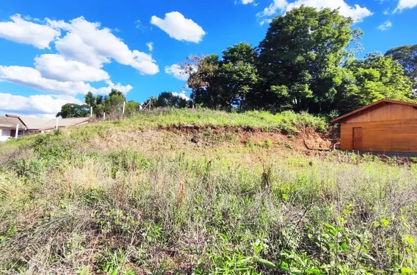 Terreno para venda,  Italiana, Panambi