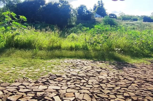 Terreno para venda,  Erica, Panambi