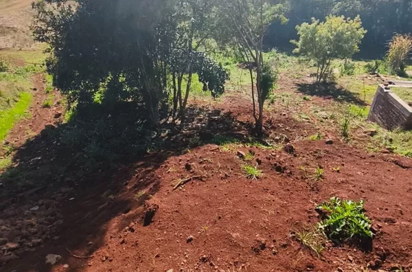 Terreno para comprar,  Pavão, Panambi