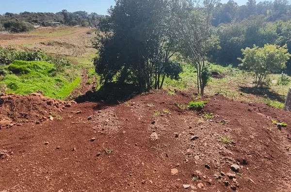 Terreno para comprar,  Pavão, Panambi