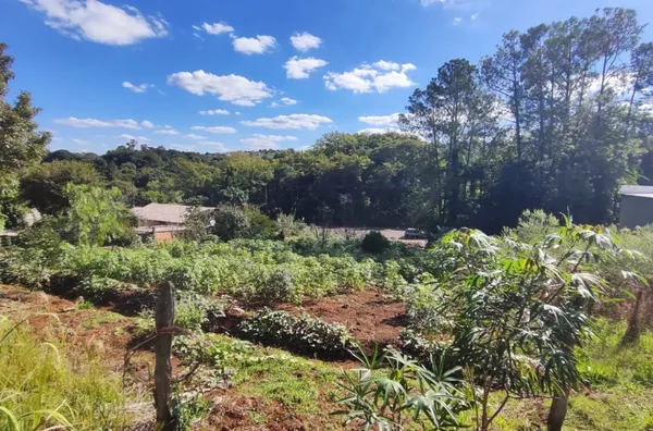 Terreno para venda,  Becker, Panambi
