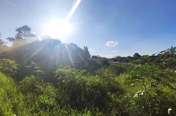 Terreno para venda,  Erica, Panambi