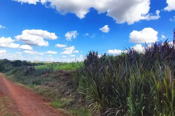 Chácara para ,  - Selecione - Bairro, Panambi