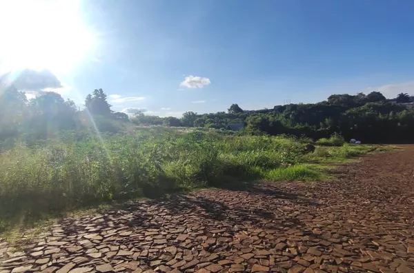 Terreno para venda,  Erica, Panambi