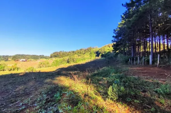 Chácara para comprar,  Linha Morengaba, Panambi
