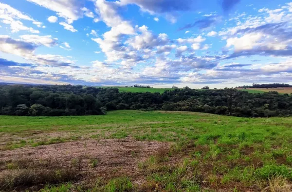 Sítio para ,  Linha Morengaba, Panambi
