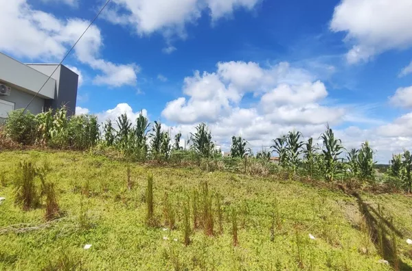 Terreno para venda,  Italiana - Altos Da Colina, Panambi