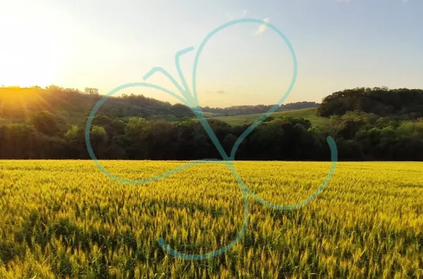 Chácara para venda,  - Selecione - Bairro, Panambi