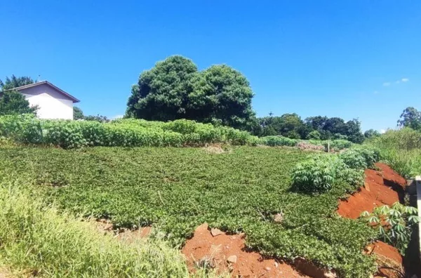 Terreno para venda,  Zona Norte, Panambi