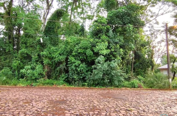 Terreno para venda,  Arco-íris, Panambi