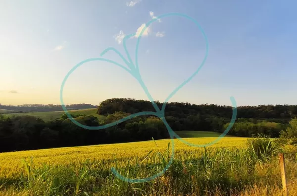 Chácara para venda,  - Selecione - Bairro, Panambi