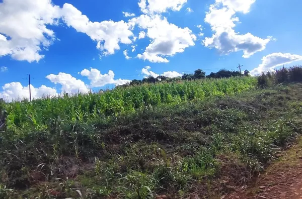 Chácara para ,  - Selecione - Bairro, Panambi