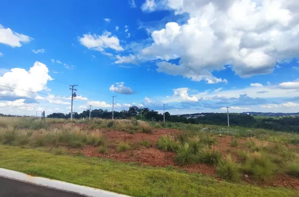 Terreno para venda,  Italiana, Panambi