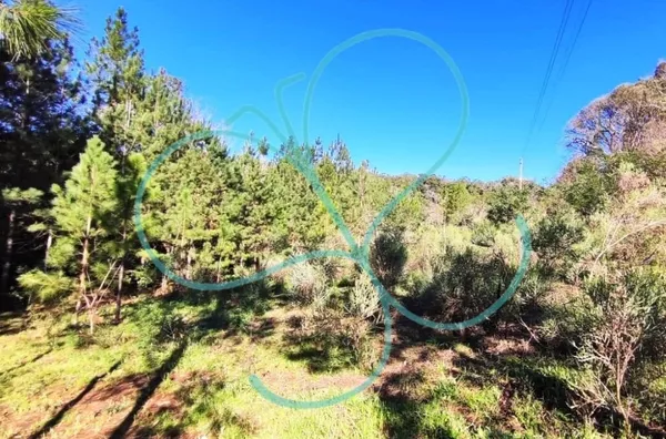 Sítio para venda,  - Selecione - Bairro, Panambi