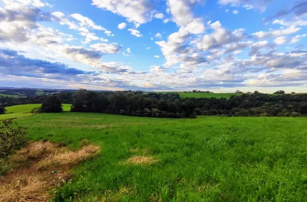 Sítio para ,  Linha Morengaba, Panambi