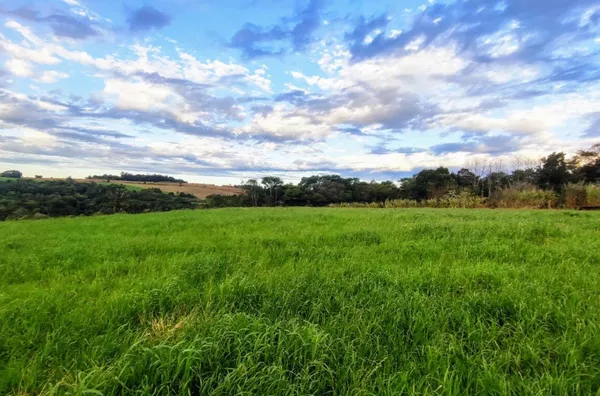 Sítio para ,  Linha Morengaba, Panambi