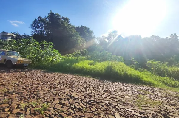 Terreno para venda,  Erica, Panambi