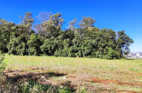 Terreno para venda,  Becker, Panambi