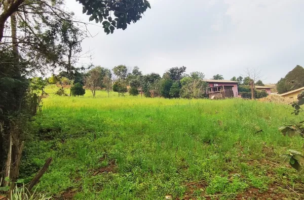 Terreno para venda,  Fritsh, Panambi