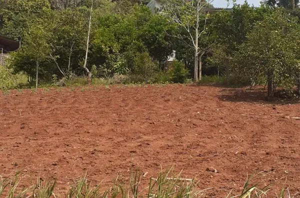 Terreno para ,  Bela Vista, Panambi