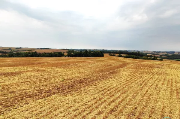 Fazenda para venda,  Linha Maraney, Panambi
