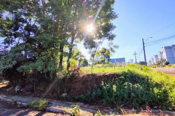 Terreno para comprar,  Fritsch, Panambi