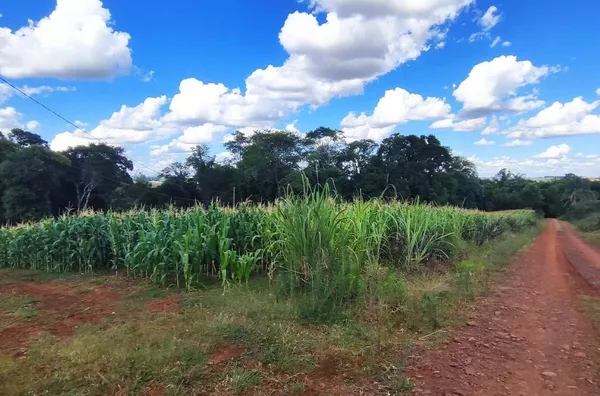 Chácara para ,  - Selecione - Bairro, Panambi