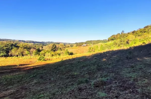 Chácara para comprar,  Linha Morengaba, Panambi