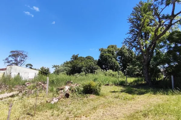 Terreno para ,  Trentini, Panambi