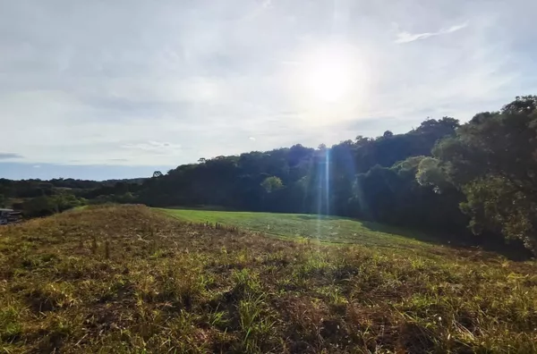 Terreno para venda,  Italiana, Panambi