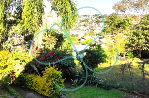 Casa para venda, 2 quarto(s),  Morro Do Grosse, Panambi