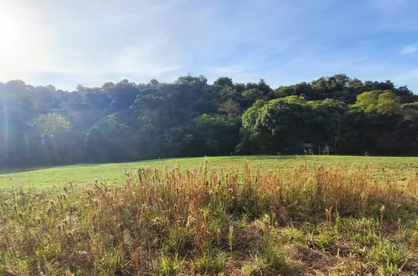 Terreno para venda,  Italiana, Panambi