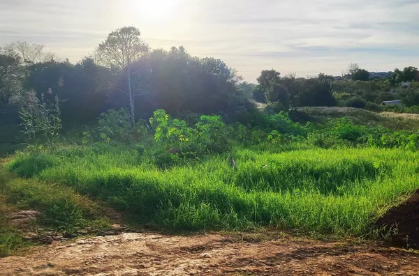 Terreno para ,  Erica, Panambi