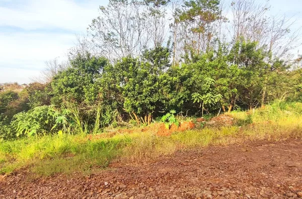 Terreno para venda,  - Selecione - Bairro, Panambi