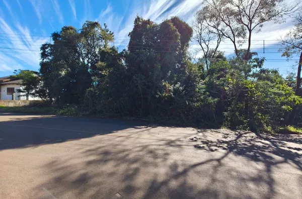 Terreno para comprar,  Pavão, Panambi