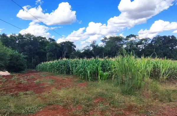 Chácara para ,  - Selecione - Bairro, Panambi