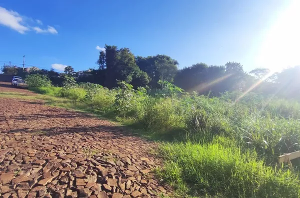 Terreno para venda,  Erica, Panambi