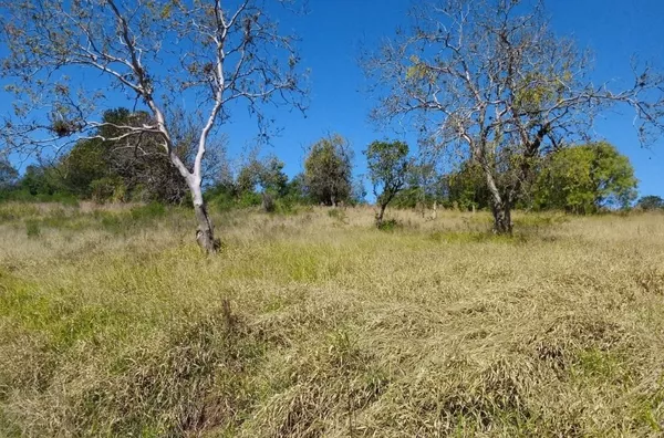 Chácara para venda 1 quarto(s) fazenda fialho taquara