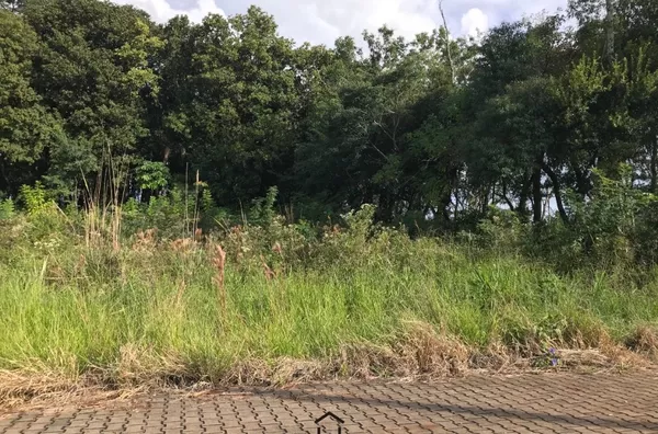 Terreno em Loteamento