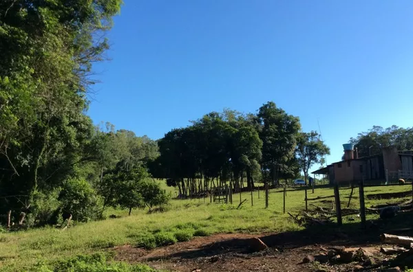 Sítio para venda 1 quarto(s) Santa Cruz da Concórdia Taquara
