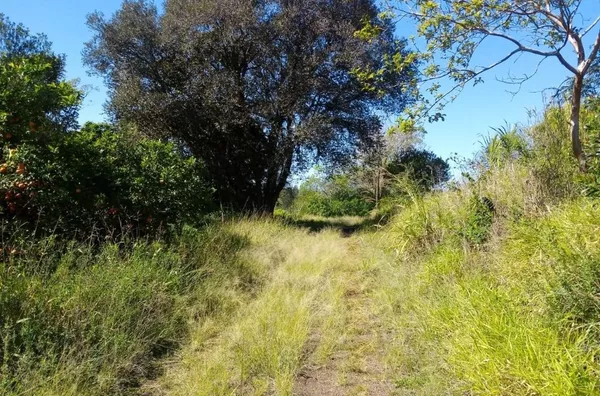 Chácara para venda 1 quarto(s) fazenda fialho taquara
