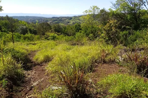 Chácara para venda 1 quarto(s) fazenda fialho taquara