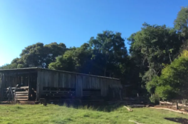 Sítio para venda 1 quarto(s) Santa Cruz da Concórdia Taquara
