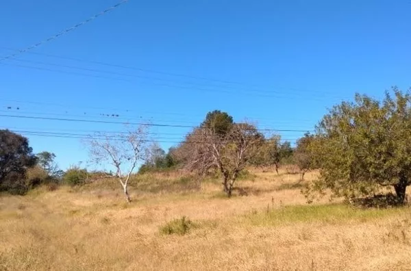 Chácara para venda 1 quarto(s) fazenda fialho taquara