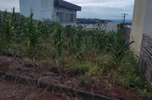 Terreno para venda,  Agua Branca, Marmeleiro