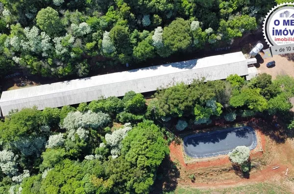 Sítio para venda, com Granja de Suínos no Interior de Francisco Beltrão-PR